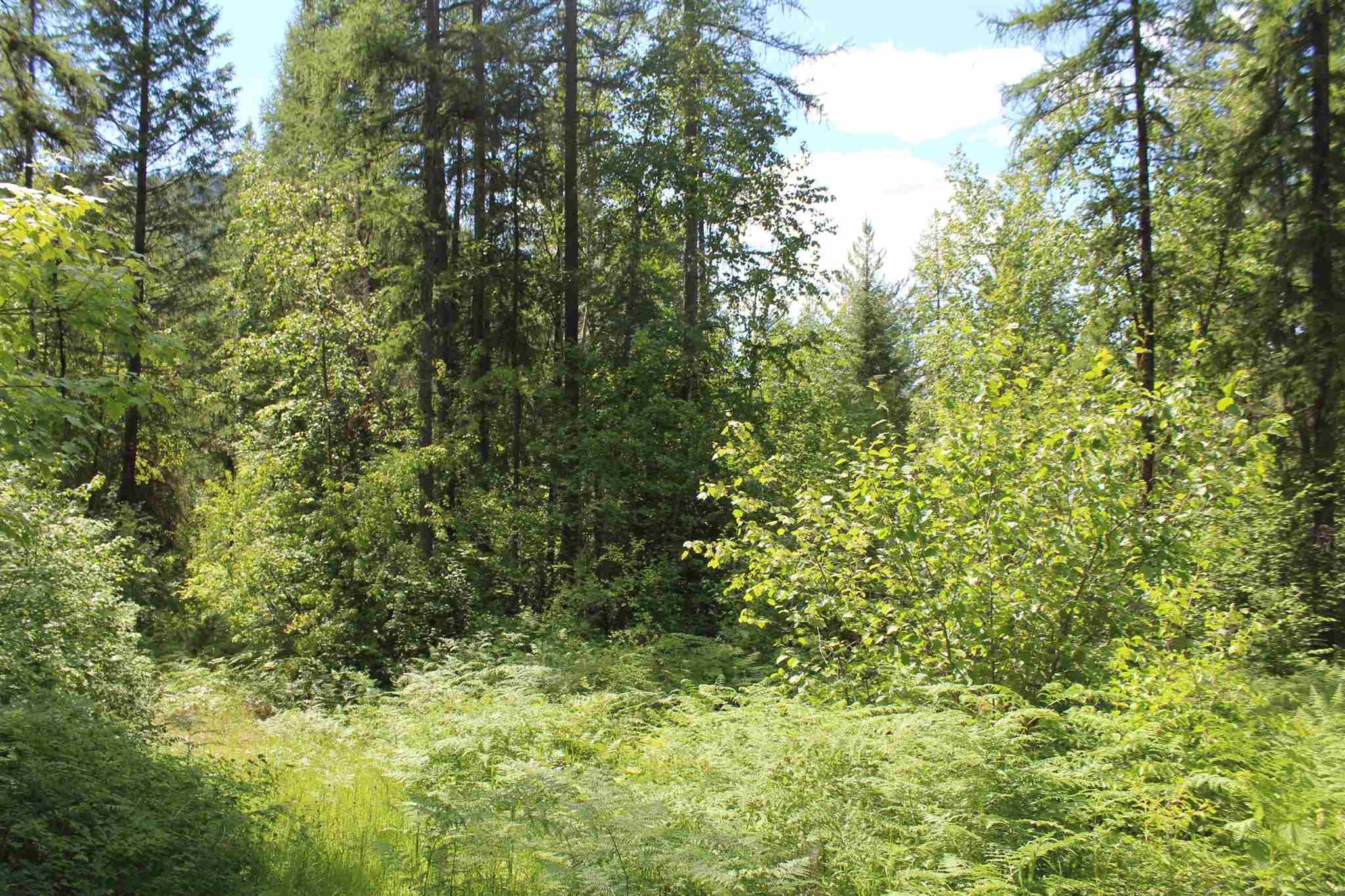 Nka Cedar Creek Road Colville, WA 99114 - Photo 5 of 10 Gallery Image 5