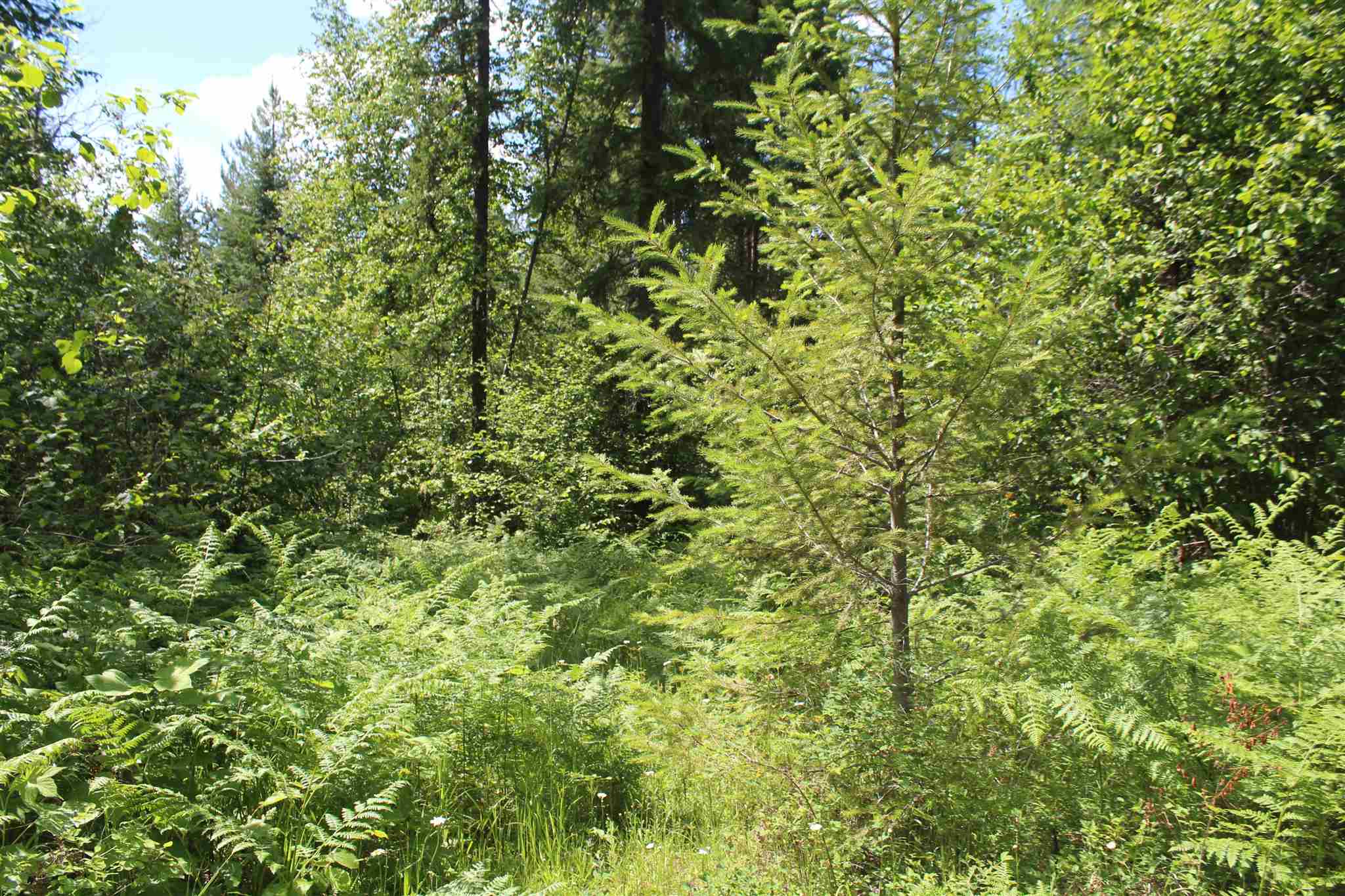 Nka Cedar Creek Road Colville, WA 99114 - Photo 6 of 10 Gallery Image 6