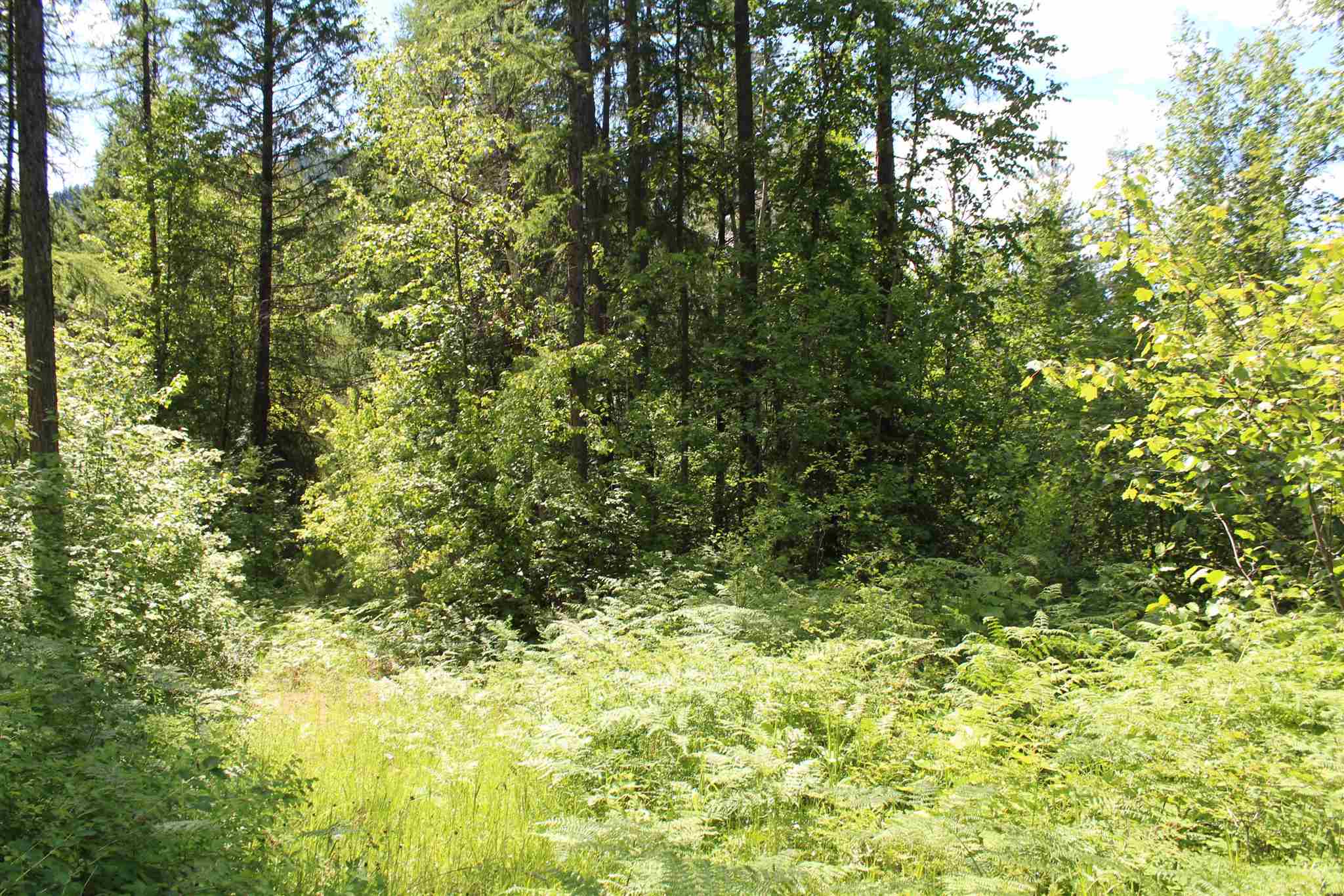 Nka Cedar Creek Road Colville, WA 99114 - Photo 7 of 10 Gallery Image 7