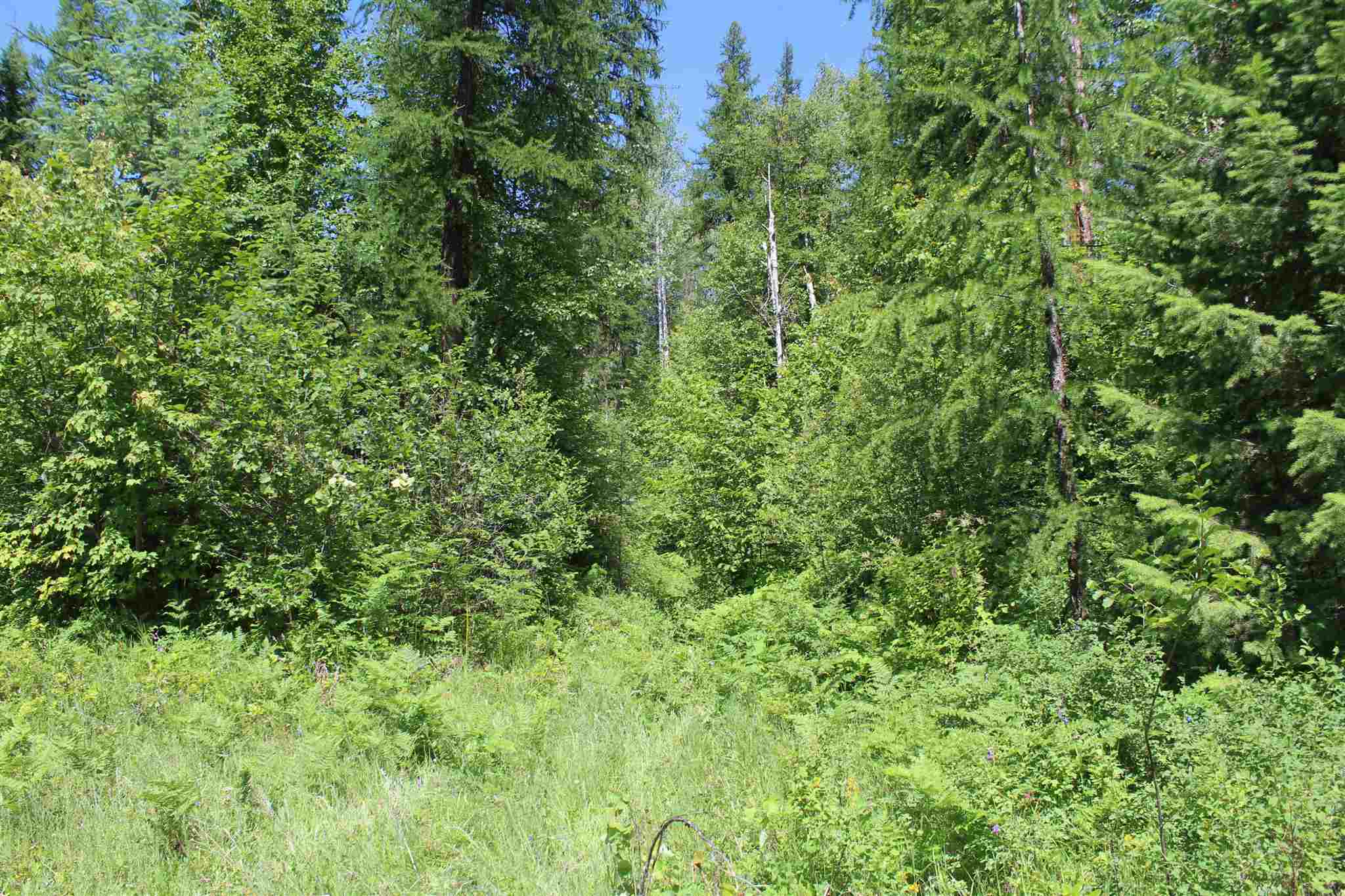 Nka Cedar Creek Road Colville, WA 99114 - Photo 8 of 10 Gallery Image 8