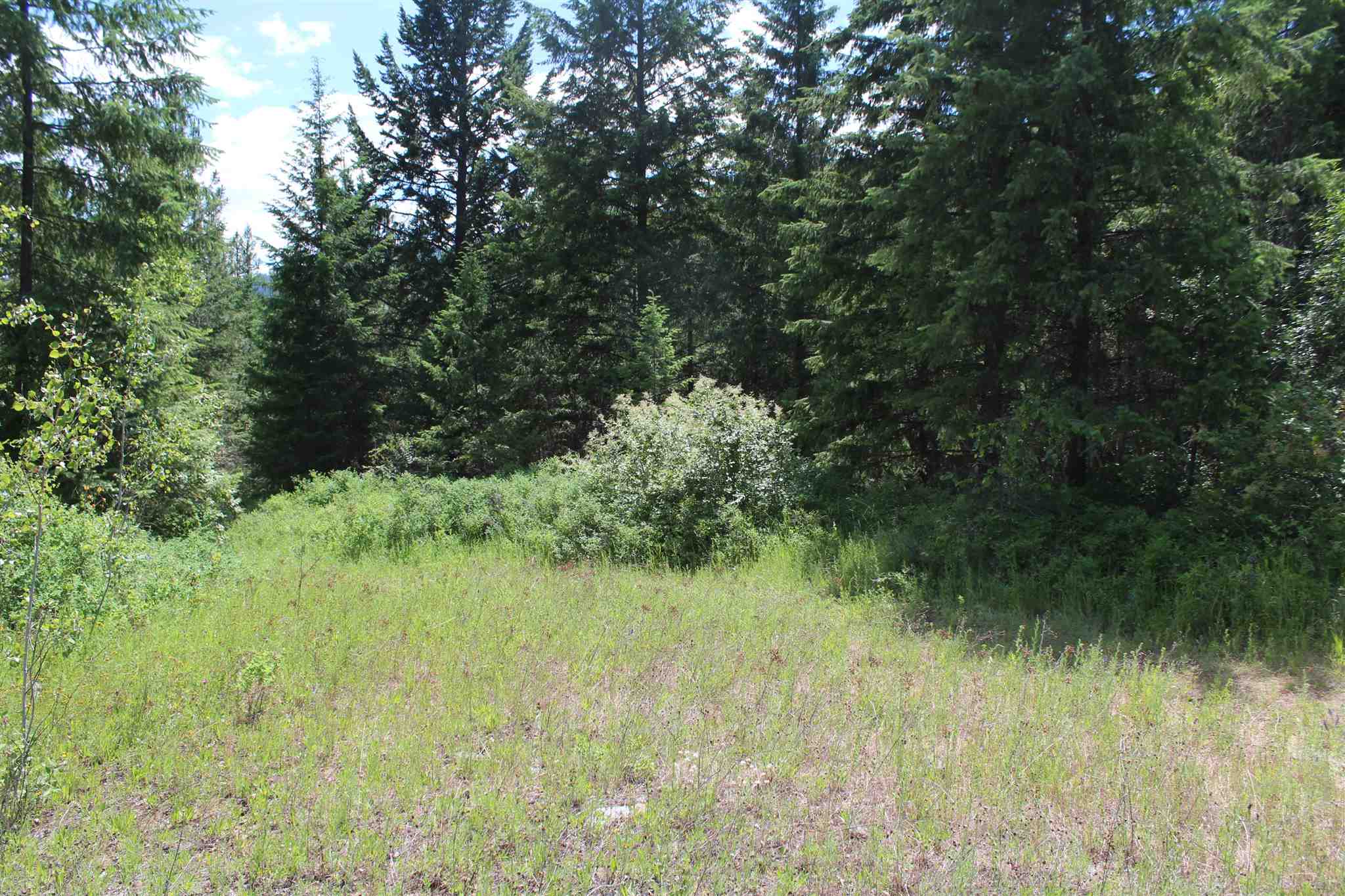Nka Cedar Creek Road Colville, WA 99114 - Photo 9 of 10 Gallery Image 9