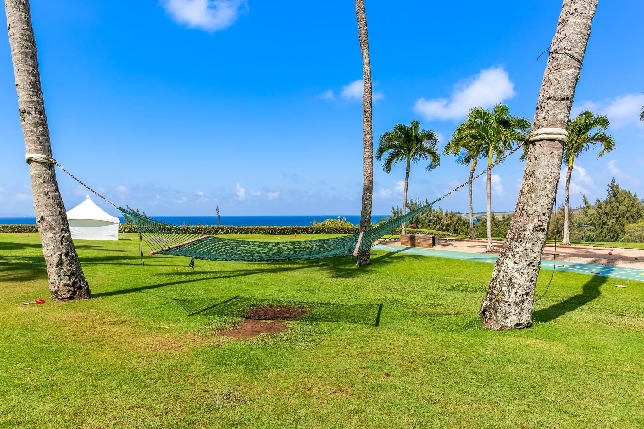 1 Ritz Carlton Drive, Unit 16141616 Lahaina, HI 96761 - Photo 28 of 40