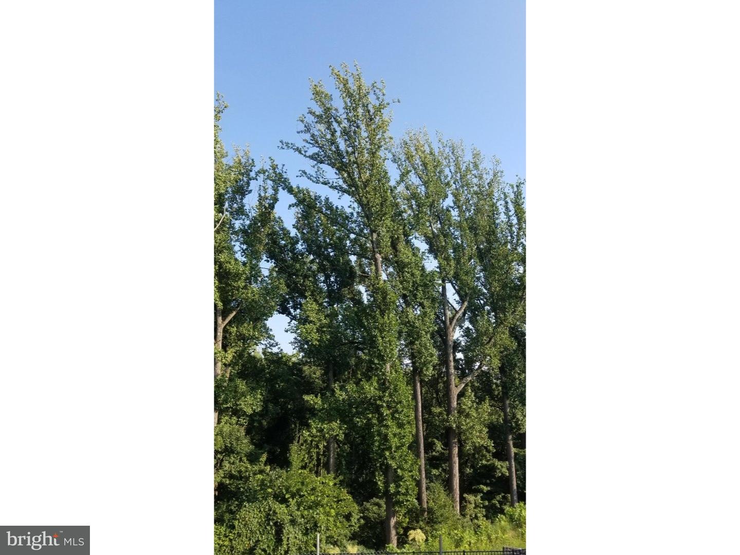 211 Corvus Circle Springfield, PA 19064 - Photo 15 of 15 View in Back