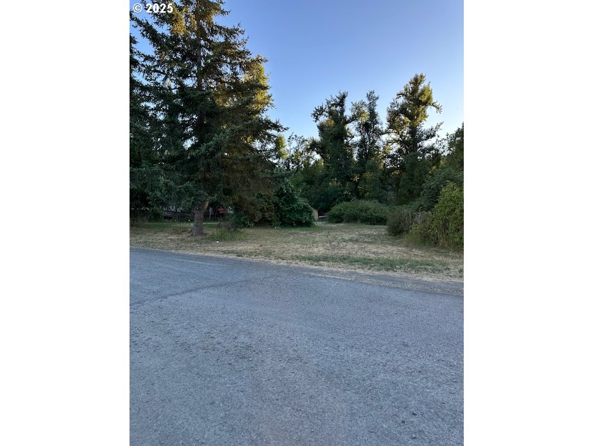 78412 Snauer Lane Cottage Grove, OR 97424 - Photo 1 of 11