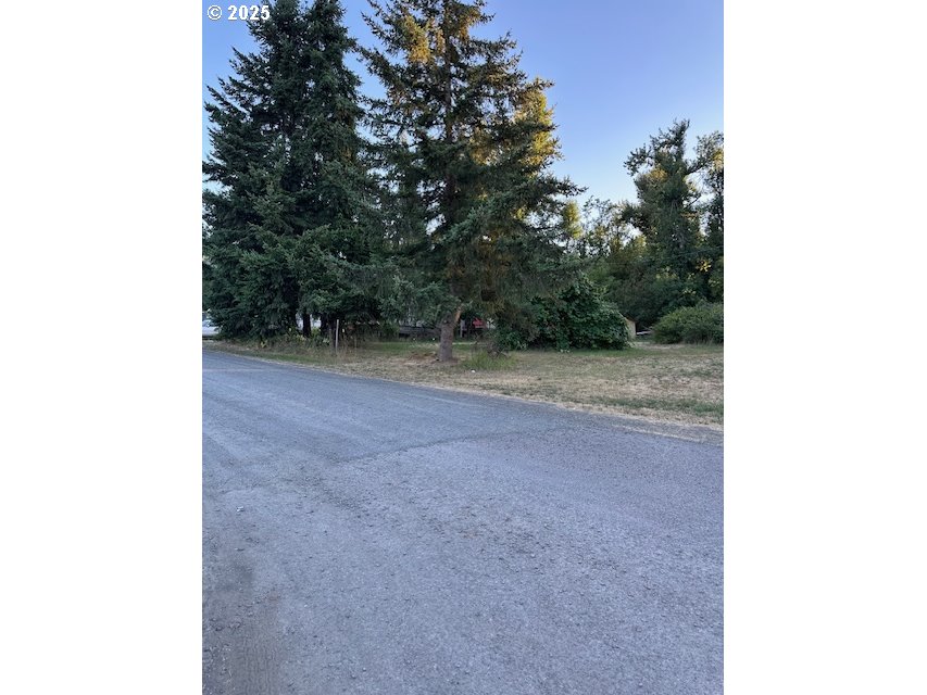 78412 Snauer Lane Cottage Grove, OR 97424 - Photo 2 of 11