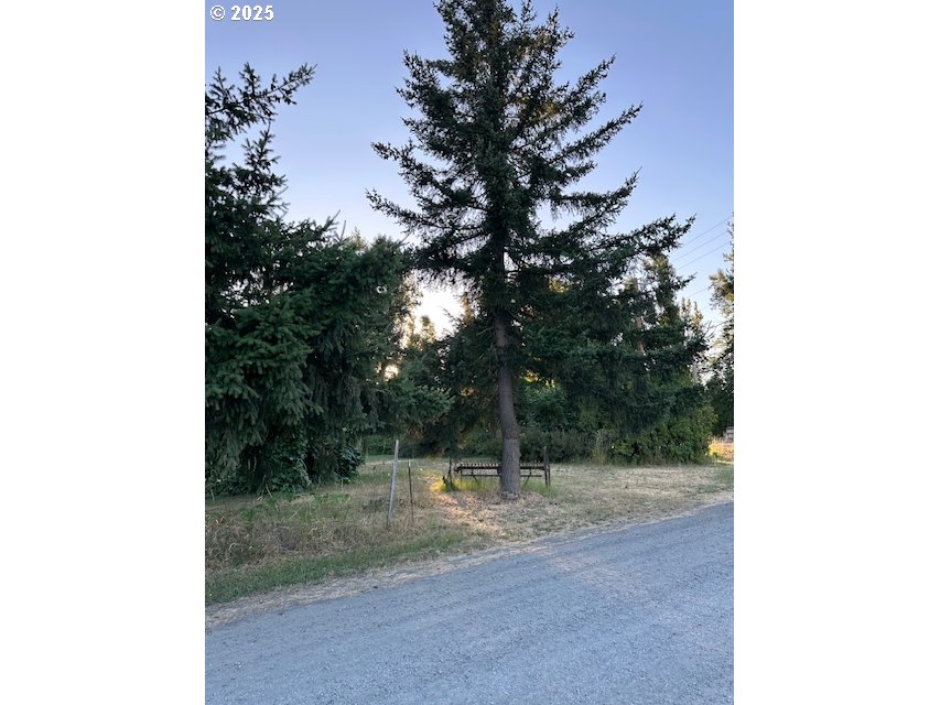 78412 Snauer Lane Cottage Grove, OR 97424 - Photo 3 of 11