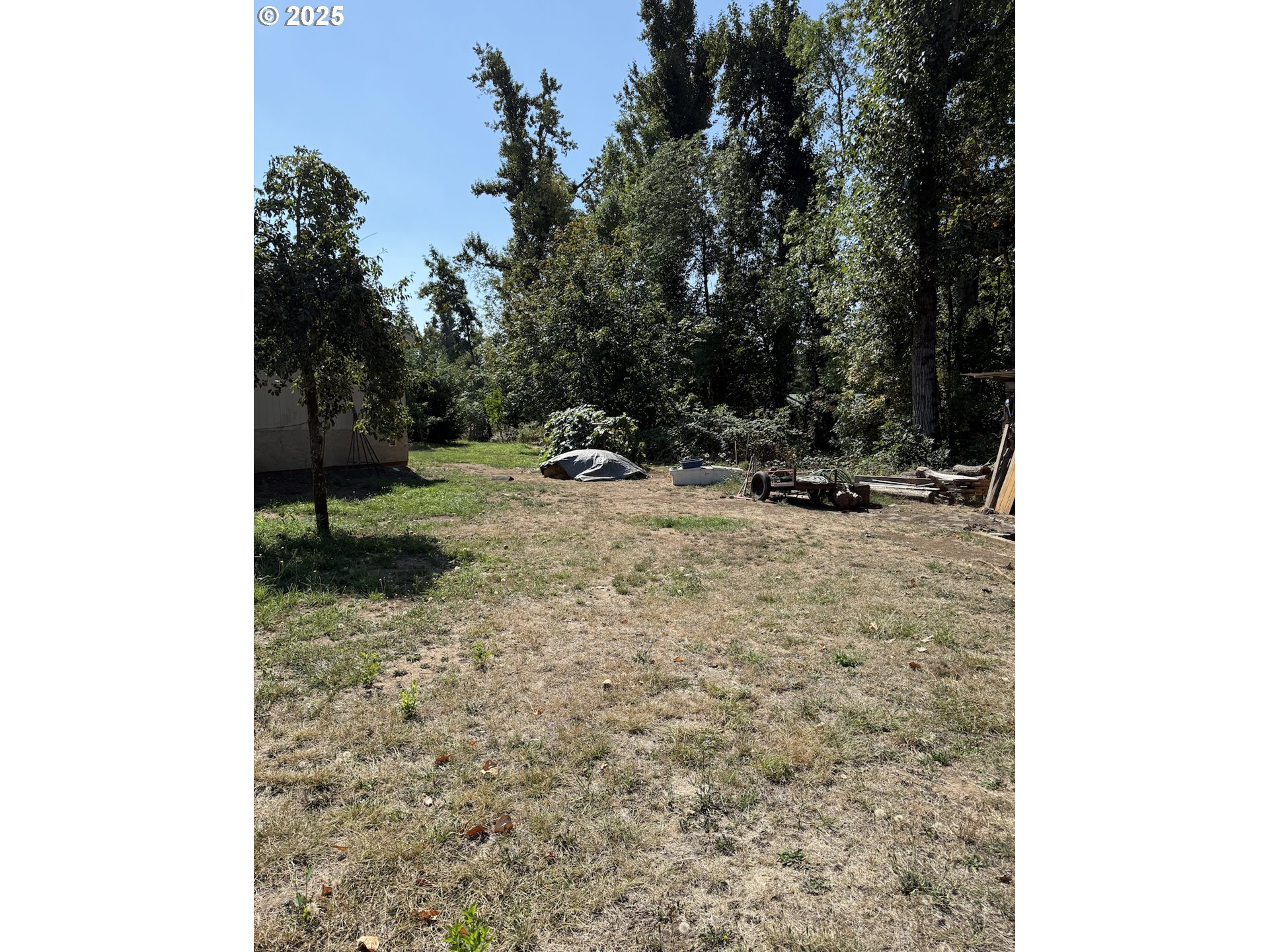 78412 Snauer Lane Cottage Grove, OR 97424 - Photo 7 of 11