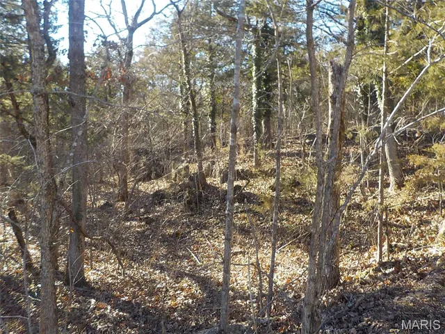 $15,000 | 10450 Oakwood Road, Potosi, MO 63664