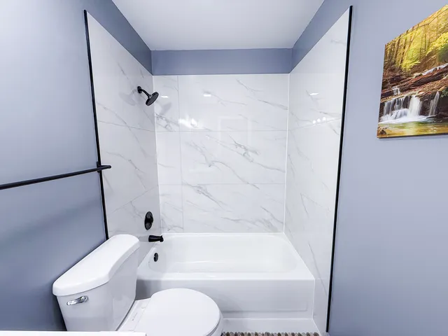 a bathroom with a toilet and a bathtub