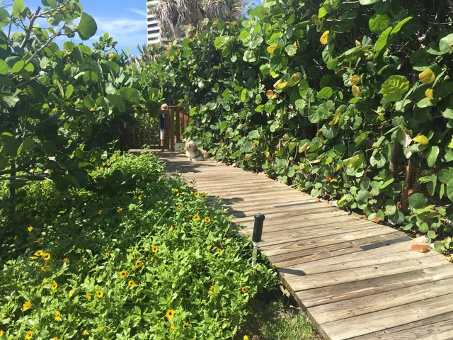 a room with furniture