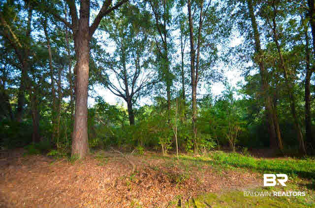 6448 Canebrake Road Mobile, AL 36695 - Photo 2 of 4
