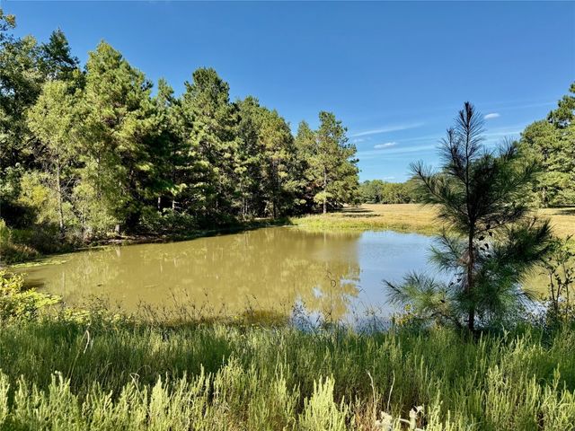 a view of a tree in the middle of a yard