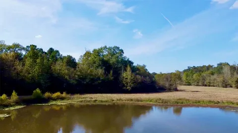 a view of outdoor space with trees all around
