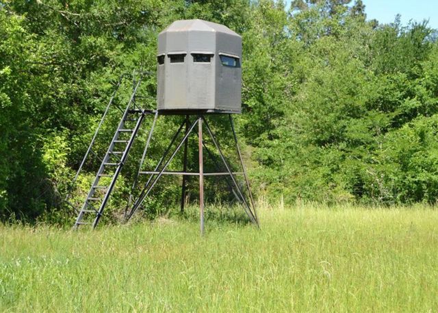 $850,000 | 4025 County Road 4025, Crockett, TX 75835