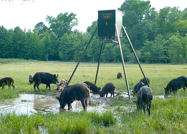 $850,000 | 4025 County Road 4025, Crockett, TX 75835