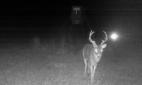 $850,000 | 4025 County Road 4025, Crockett, TX 75835