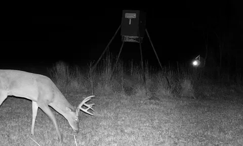 a view of entryway and hall