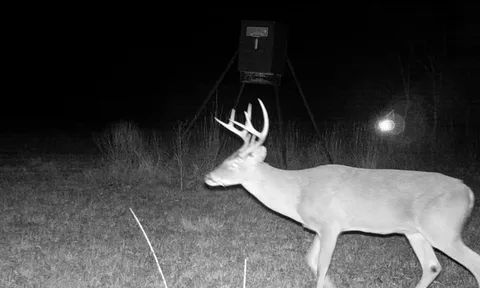 a close view of sink