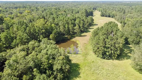 a view of a forest with a lake