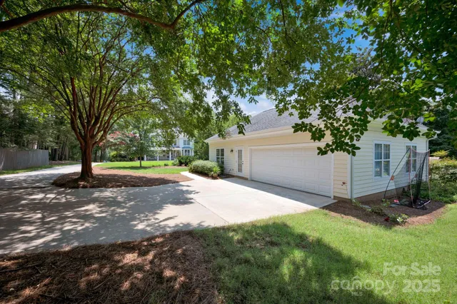 a view of a yard with plants and tree
