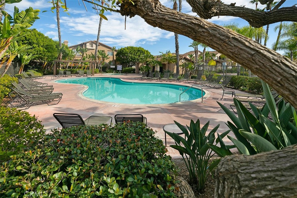 46 Conch Reef Aliso Viejo, CA 92656 - Photo 19 of 35 Community pool and spa
