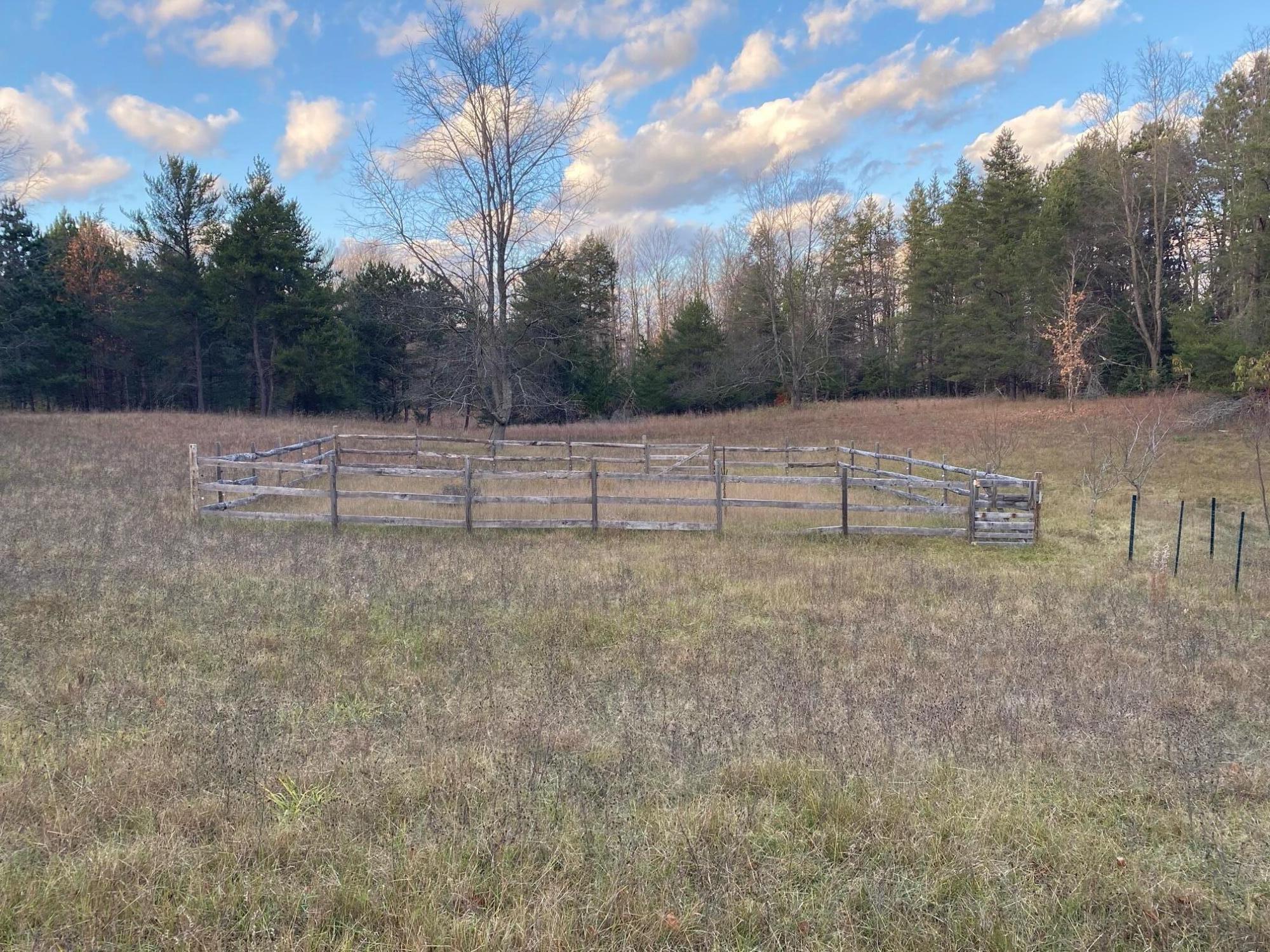 3555 North 23 Road Mesick, MI 49668 - Photo 28 of 35 35