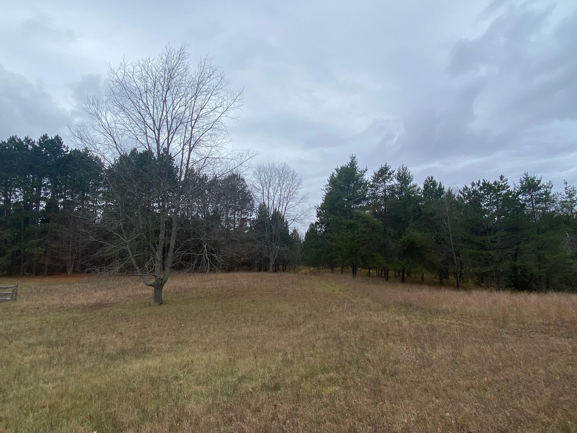 3555 North 23 Road Mesick, MI 49668 - Photo 34 of 35 30