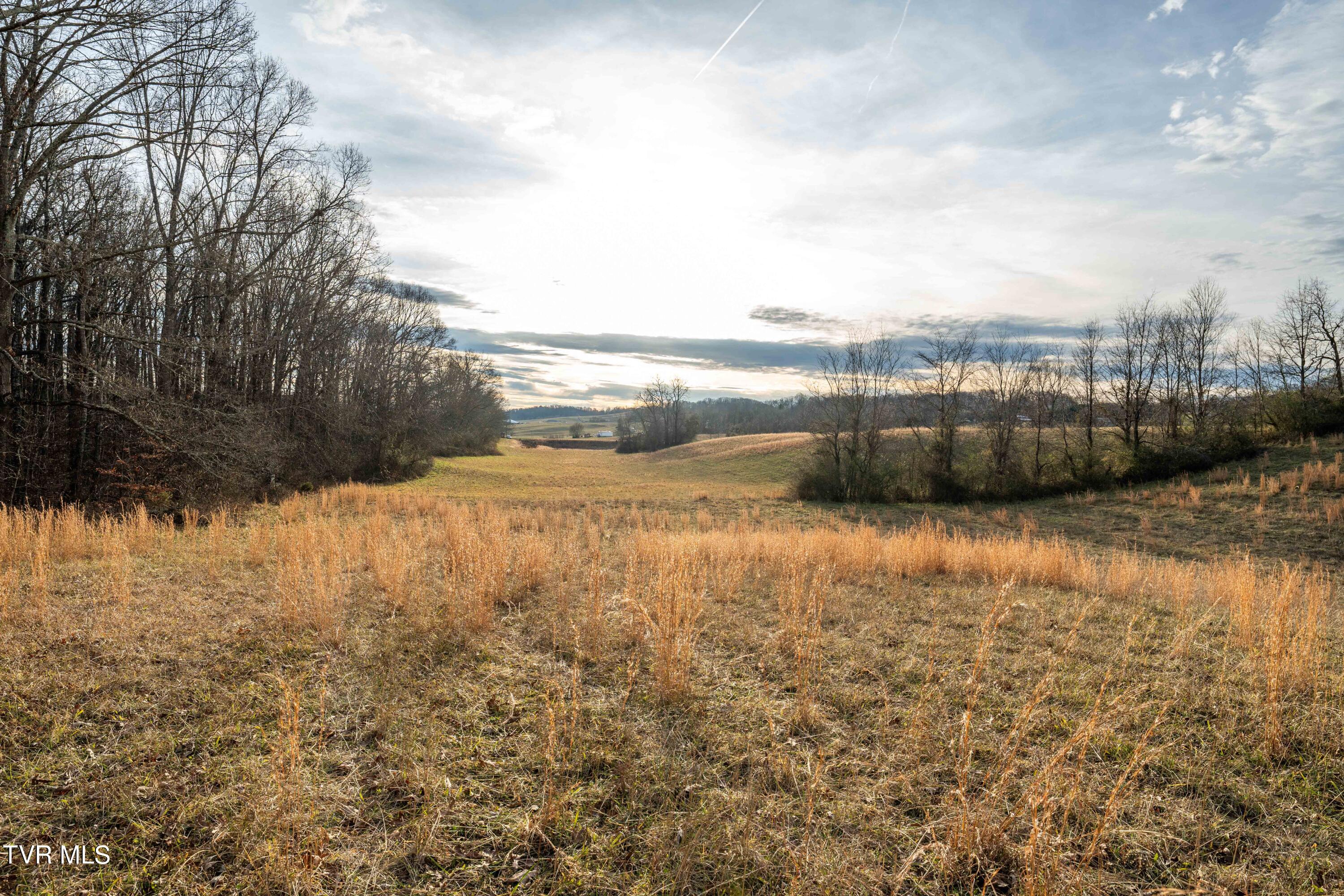 Tbd Saylor Hill Road Limestone, TN 37681 - Photo 36 of 36 TBD Saylor Hill Rd (36 of 36)