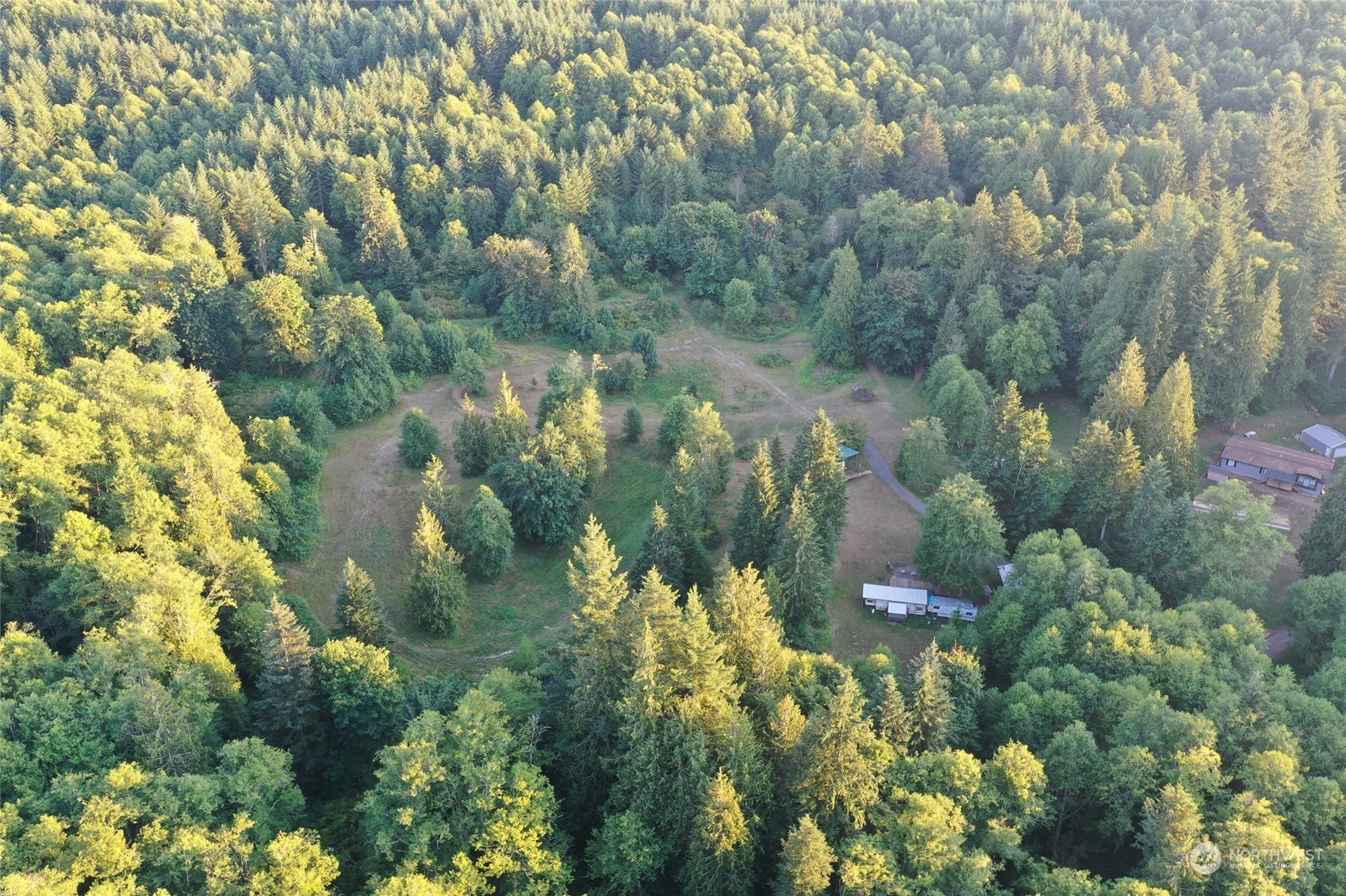 166 Hagen Road Mossyrock, WA 98564 - Photo 7 of 15 Gallery Image 7
