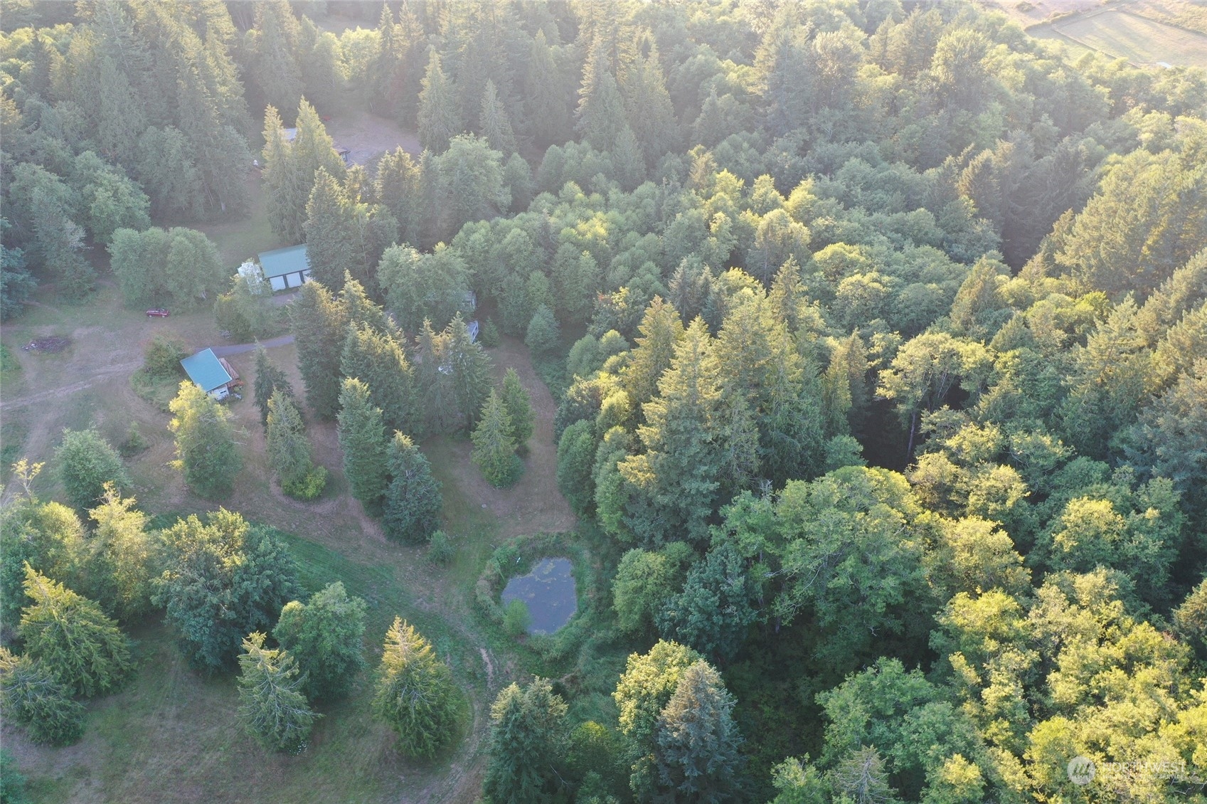 166 Hagen Road Mossyrock, WA 98564 - Photo 9 of 15 Gallery Image 9