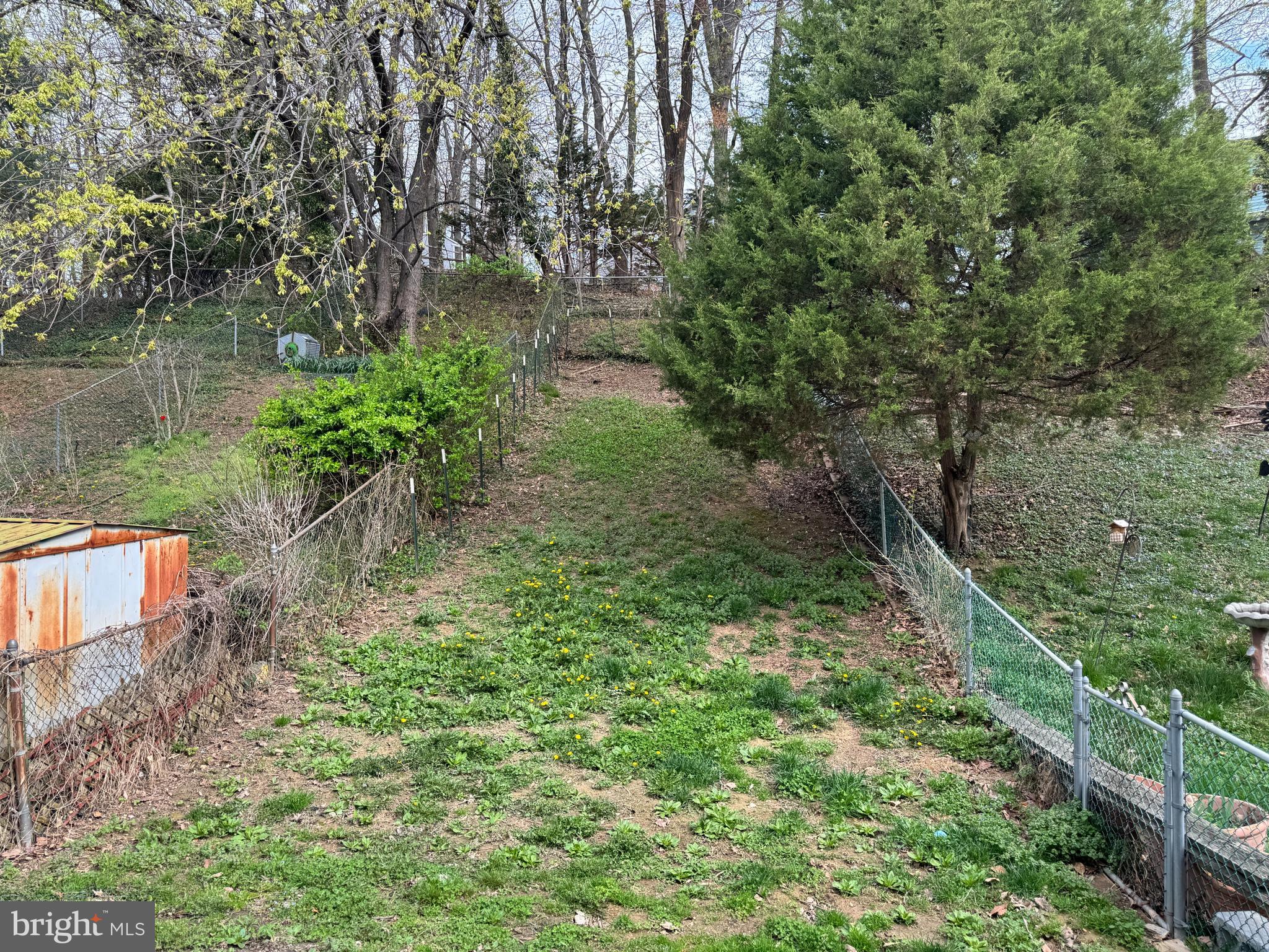 9226 Throgmorton Road Baltimore, MD 21234 - Photo 15 of 30 Backyard