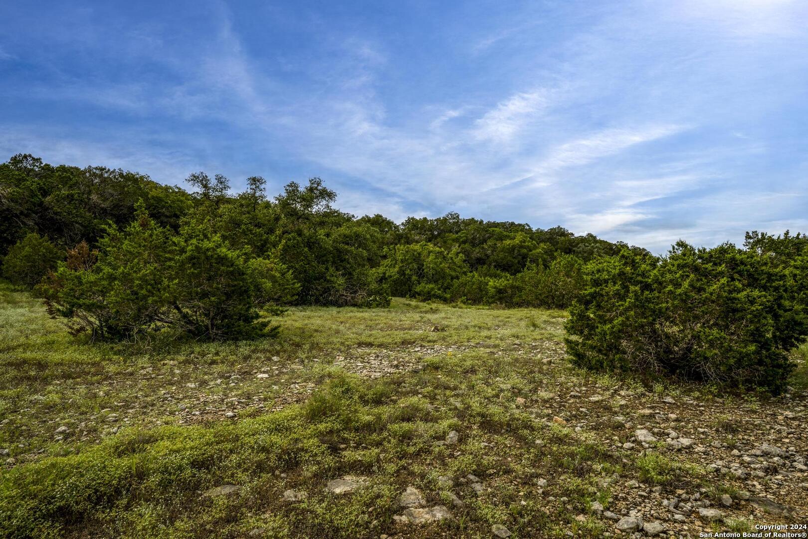 228 Enigma Avenue Spring Branch, TX 78070 - Photo 11 of 39 a view of a field with an trees