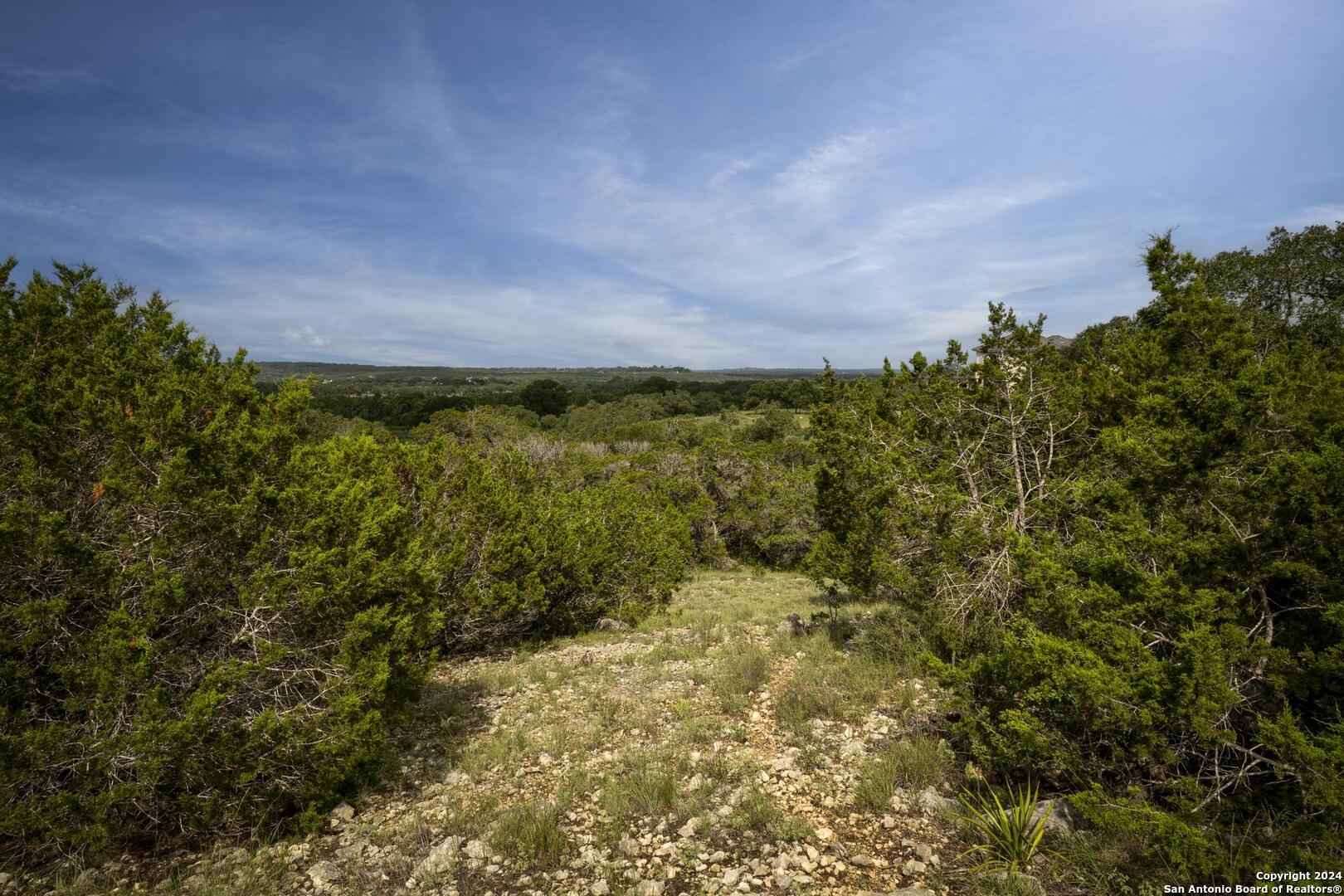 228 Enigma Avenue Spring Branch, TX 78070 - Photo 13 of 39 a view of a bunch of trees and bushes