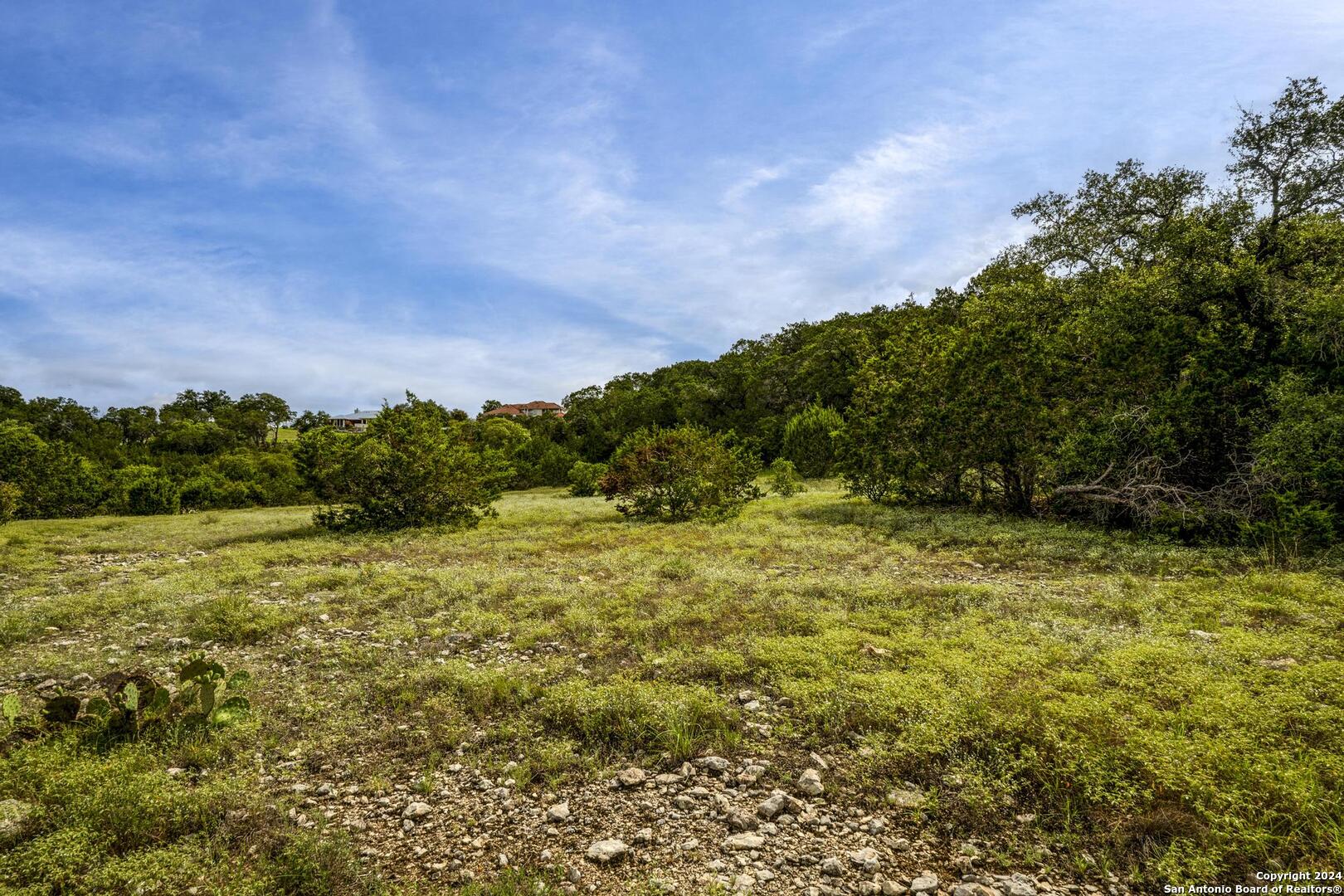 228 Enigma Avenue Spring Branch, TX 78070 - Photo 16 of 39