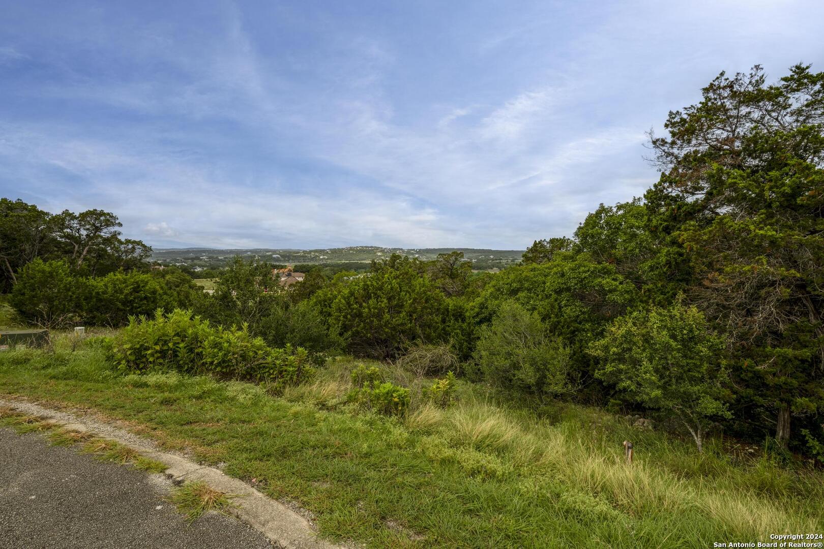 228 Enigma Avenue Spring Branch, TX 78070 - Photo 6 of 39 a view of a yard with a tree