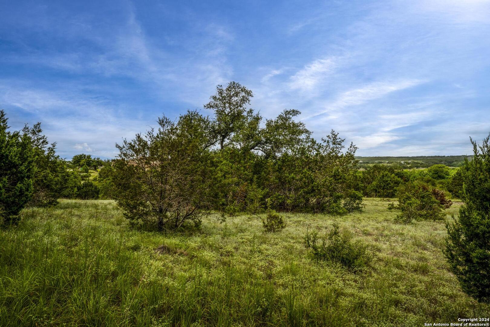 228 Enigma Avenue Spring Branch, TX 78070 - Photo 7 of 39 a view of a bunch of trees and bushes
