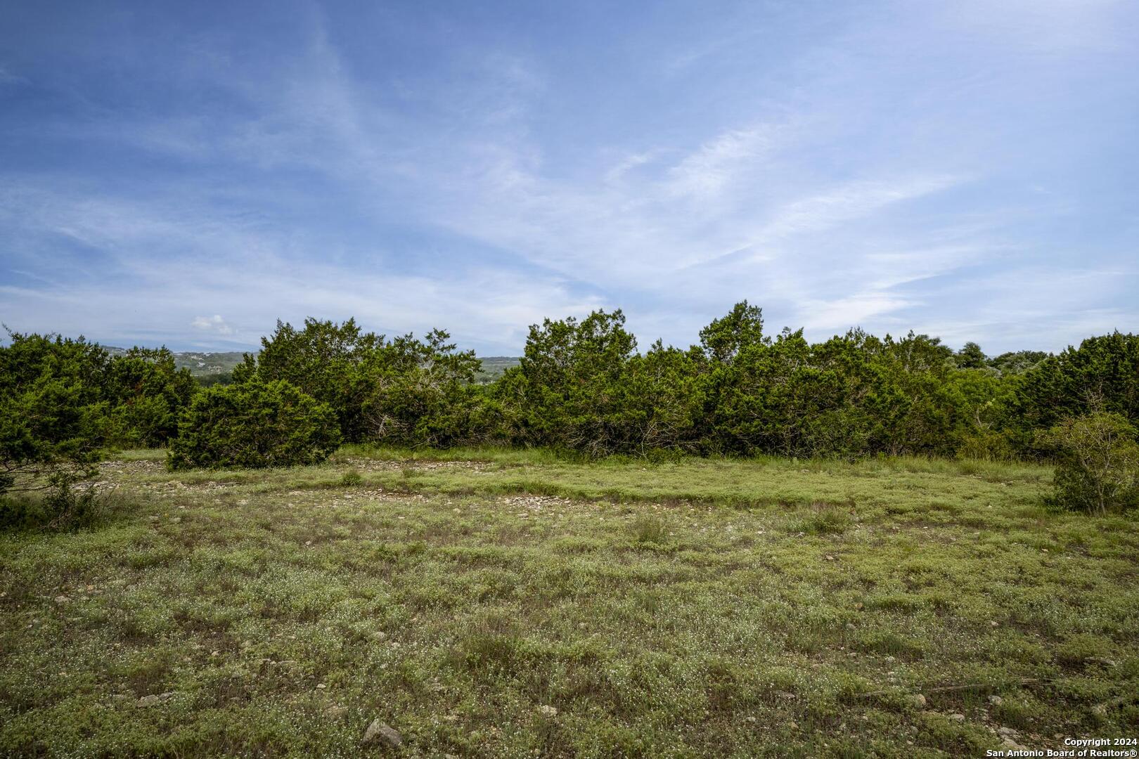 228 Enigma Avenue Spring Branch, TX 78070 - Photo 9 of 39 a view of a field with trees in background