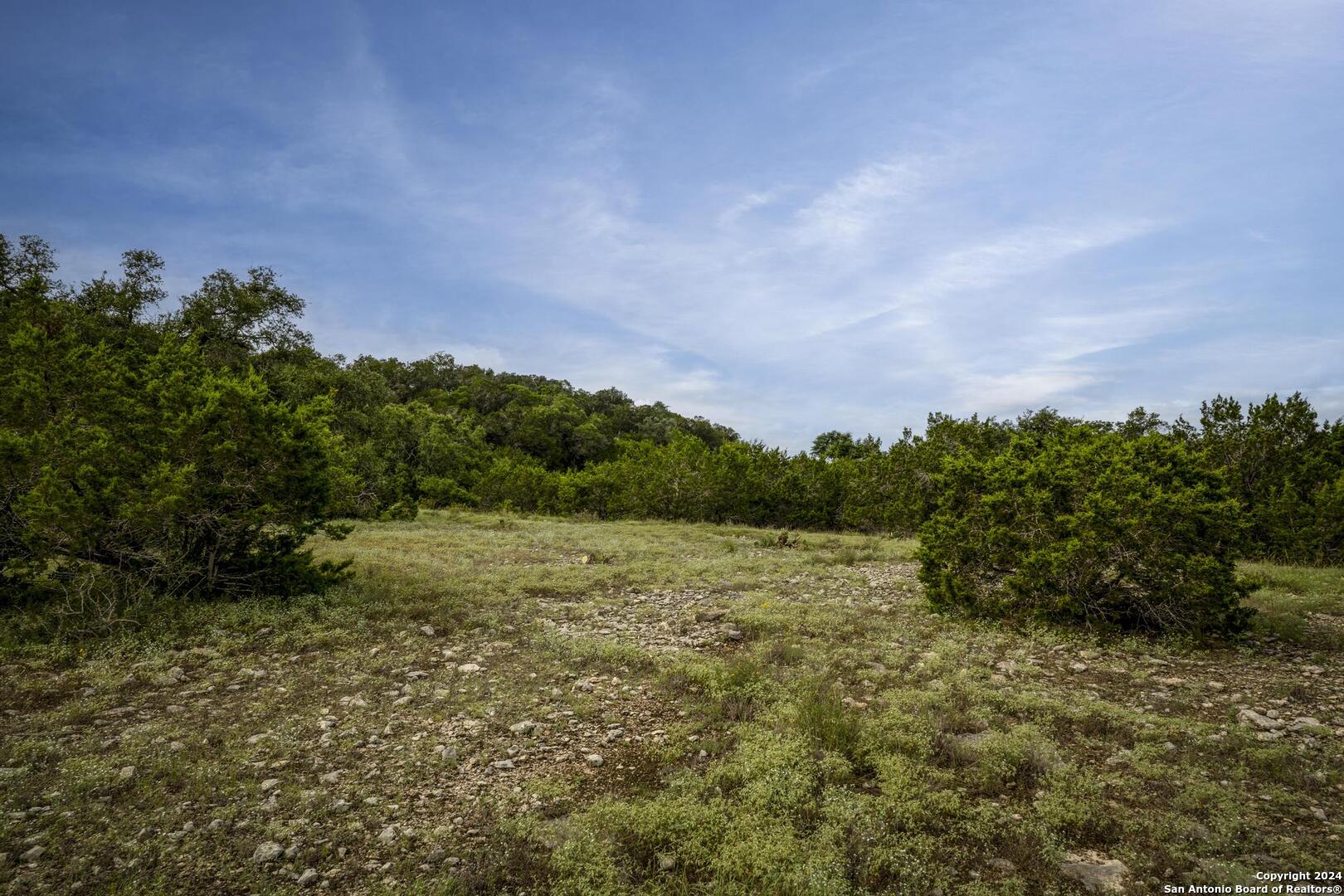 228 Enigma Avenue Spring Branch, TX 78070 - Photo 10 of 39 a view of a field of grass and trees