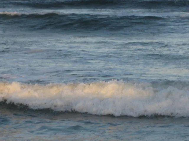 $255,000 | 3212 Northeast 12th Street, Unit 203, Pompano Beach, FL 33062