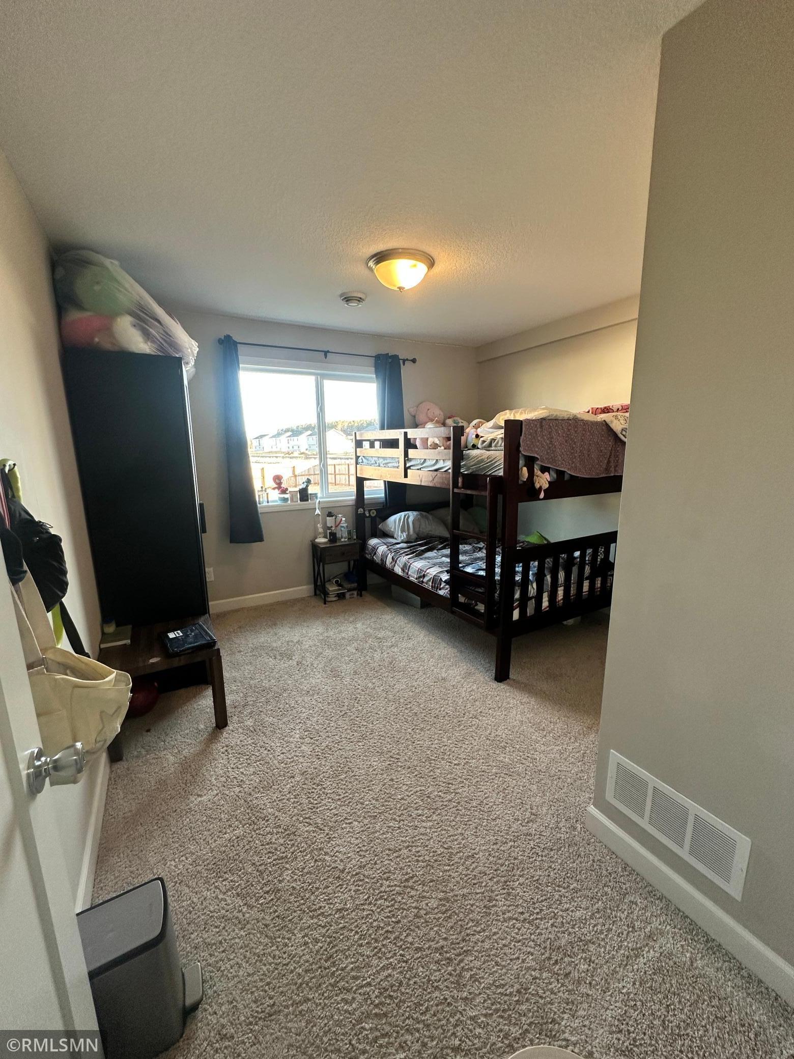 1004 Triumph Trail Isanti, MN 55040 - Photo 12 of 23