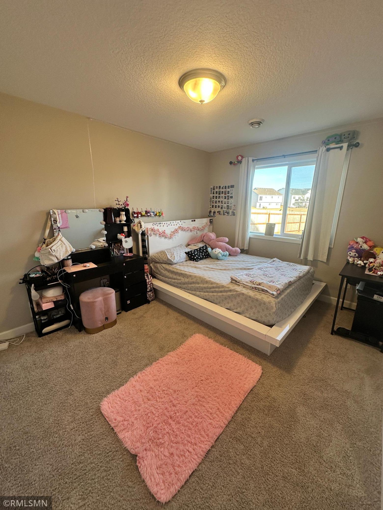 1004 Triumph Trail Isanti, MN 55040 - Photo 13 of 23