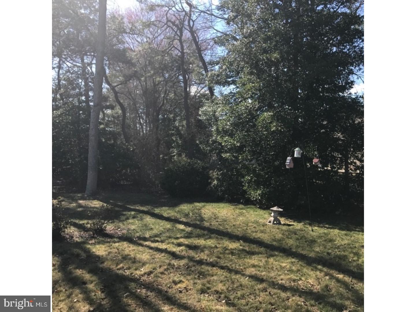 28 Windsor Road Southampton, NJ 08088 - Photo 22 of 23 Back Yard