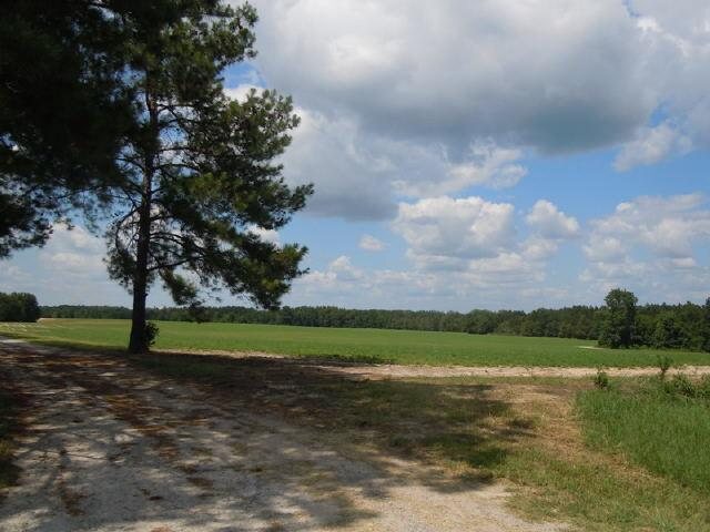 1771 Perkins-Greenfork Road Millen, GA 30442 - Photo 1 of 1