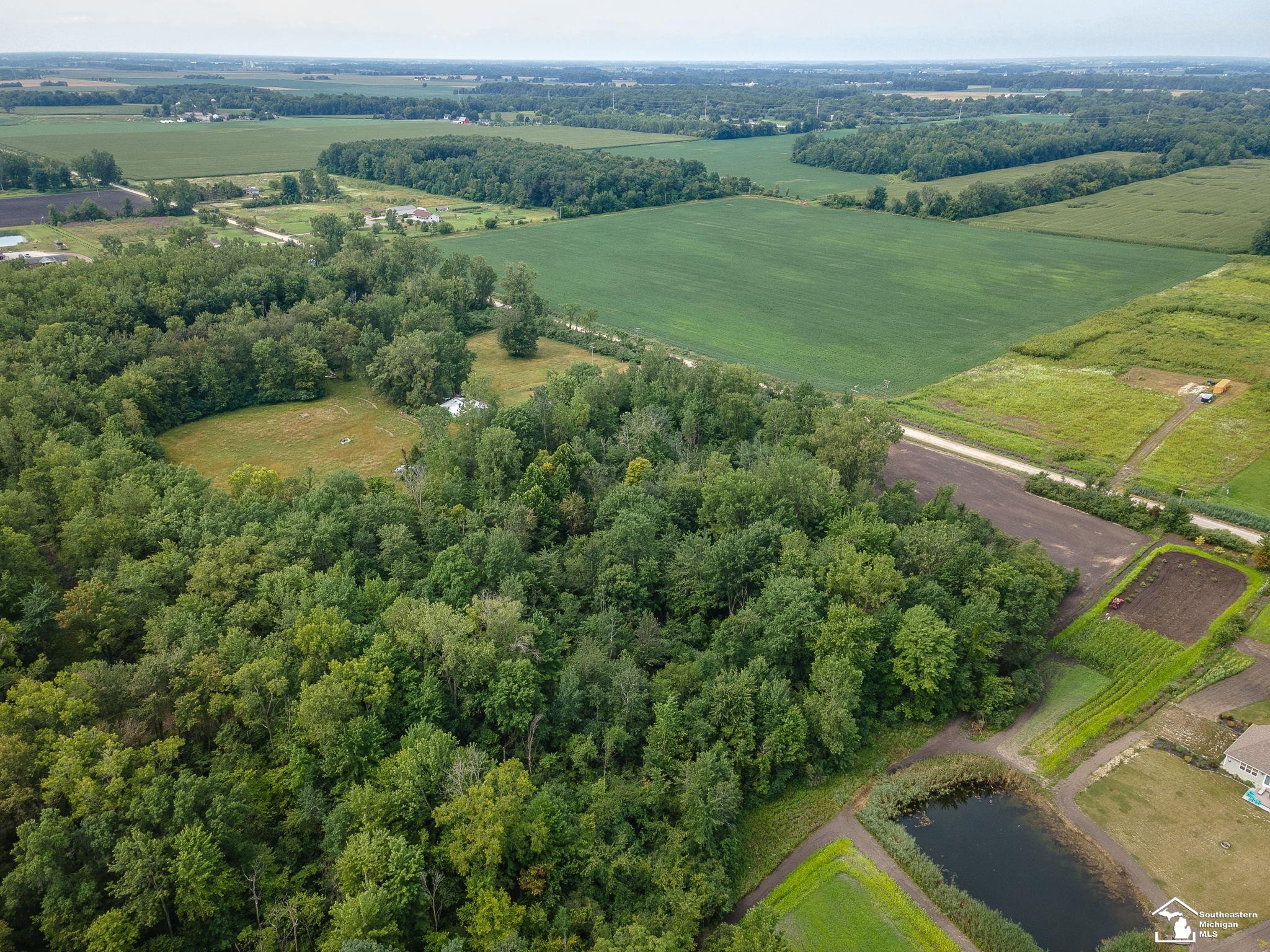 12700 Wanty Road Milan, MI 48160 - Photo 13 of 23