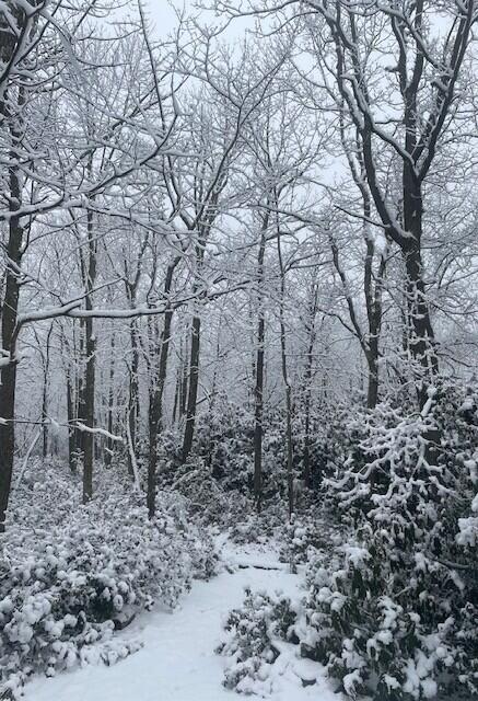 49 Algonkin Road Jim Thorpe, PA 18229 - Photo 39 of 45 snow