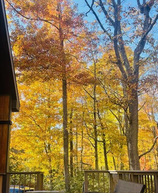 49 Algonkin Road Jim Thorpe, PA 18229 - Photo 41 of 45 fall