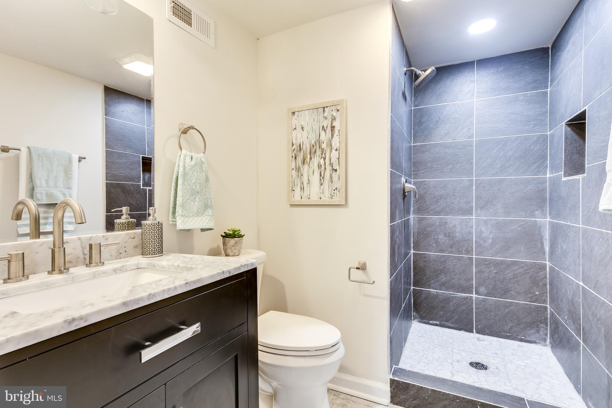8435 Edgewood Church Road Frederick, MD 21702 - Photo 28 of 34 Full Bath Lower Level.