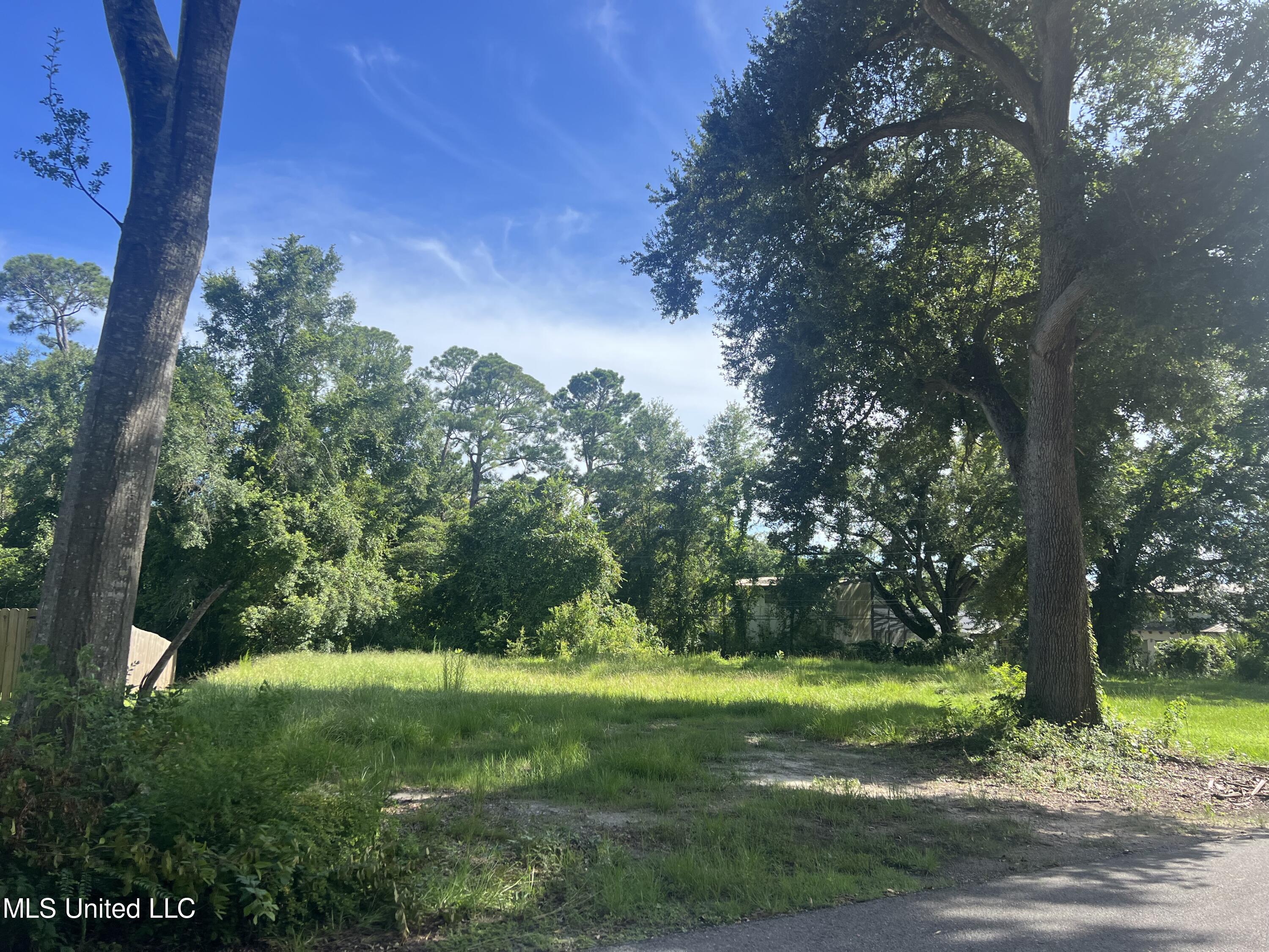 Two large trees on left side of Paraso