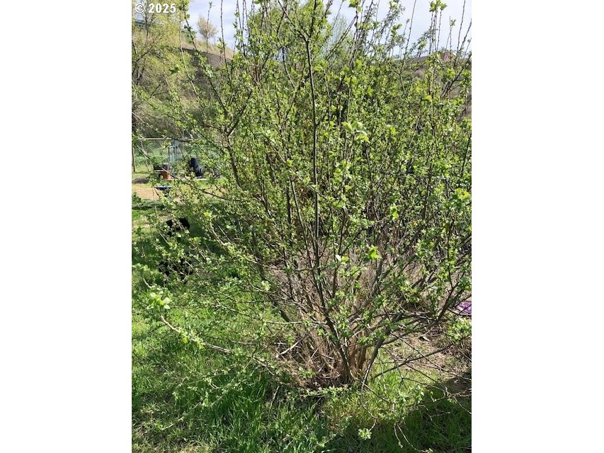 3092 Southwest River View Drive Pendleton, OR 97801 - Photo 20 of 20