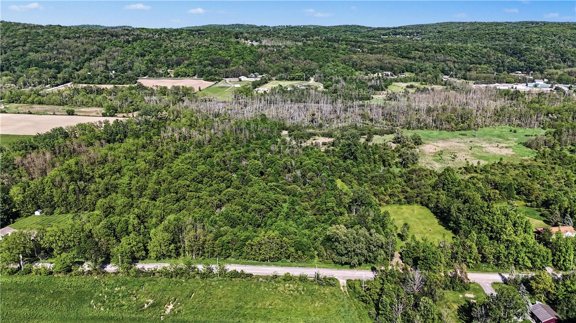 Case Road Canandaigua, NY 14424 - Photo 10 of 12